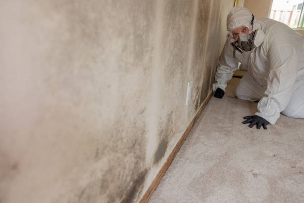 Asbestos and Lead Testing During Mold Inspection in Bullard, TX