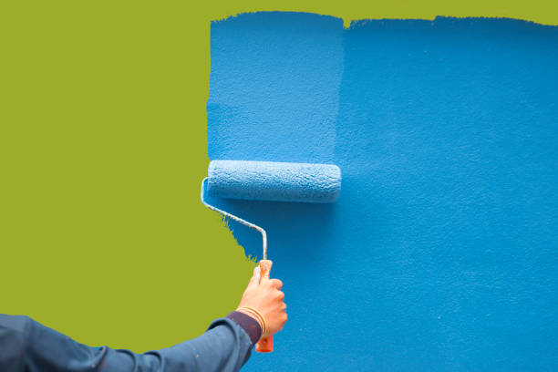 Bullard, TX Mold Removal Company